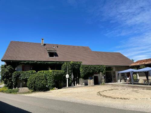 Bed & Breakfast in einer Kunstgalerie