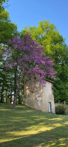 Manoir de Tourville