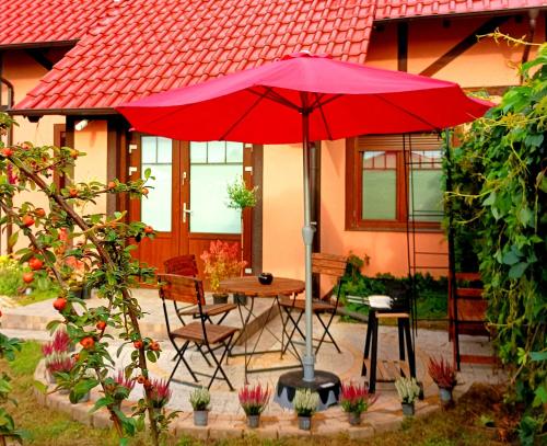 Cozy apartament APPLES for travellers, BBQ garden at private House - Apartment - Sulechów