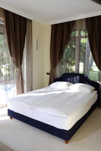 Hotel Duchess - image 12