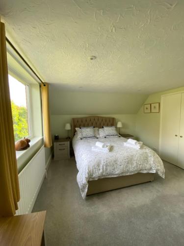 New Forest View in บิวลิยู