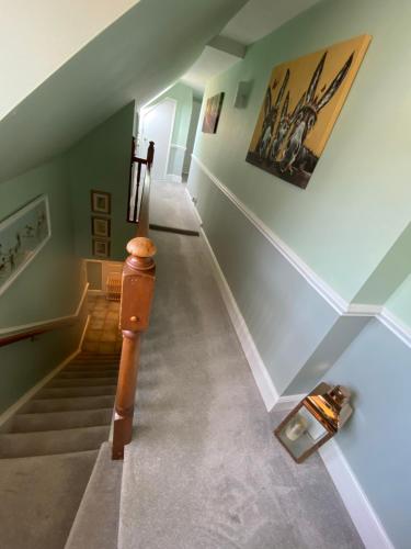 ทางเข้า, New Forest View in บิวลิยู