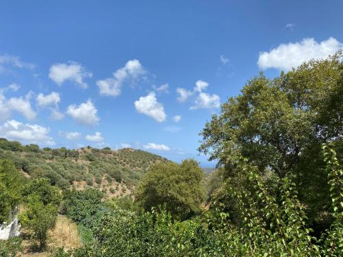 The Garden House, Sitia