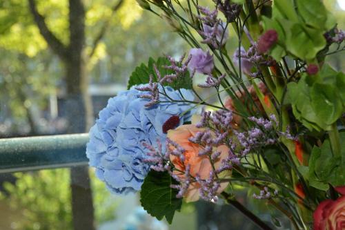 The IF Boutique hotel - image 10