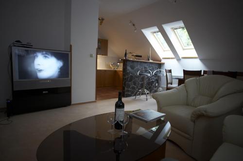 Pension Konopiste - image 6