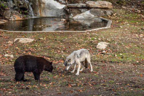 Parc Omega