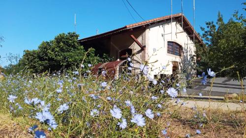 Albergue & Cafetería Vía de la Plata Hervás