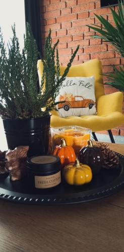 Wolfpack Guest House