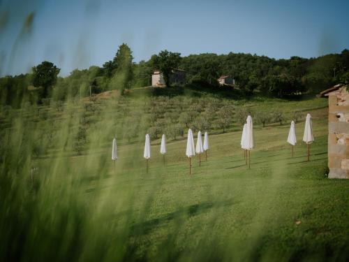 Agriturismo Podere Tovari