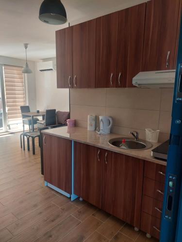 廚房, Apartman Todor in 大格拉迪斯泰