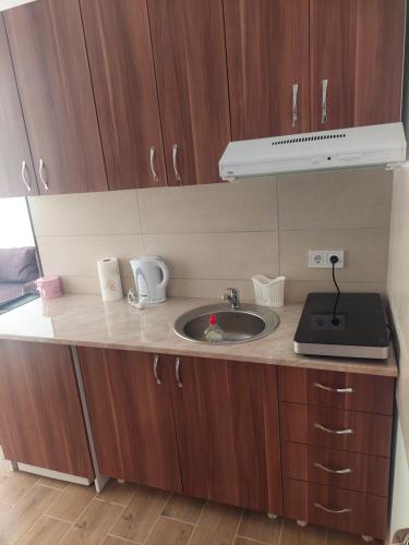 廚房, Apartman Todor in 大格拉迪斯泰