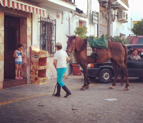 Casa Canillas - for solo travelers or small groups of 4 to 6 people