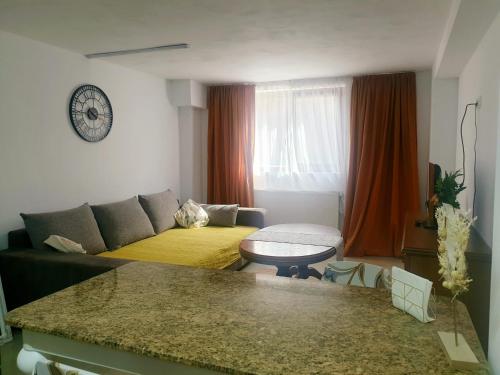 Enjoy BDF - Apartment - Vatra Dornei