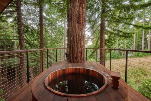 ~* The Spectacular Spyglass Treehouse *~ in Bodega (CA)