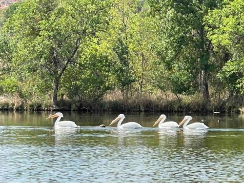 Boulder Bay on Lake Buchanan, Hot Tub, Dog Friendly private fenced and gated home! in Buchanan Dam, USA