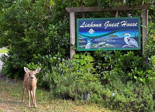 Liahona Guest House in Ucluelet, Canada