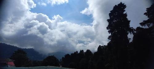 DarjeelingHillViewHomeStay