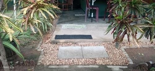 Green House Yala in Yala