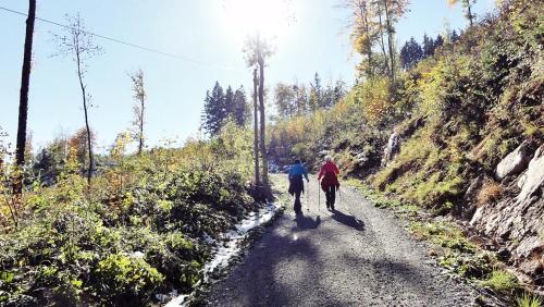 Landhaus Falkennest Landhaus Falkennest