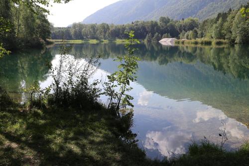 Landhaus Falkennest Landhaus Falkennest