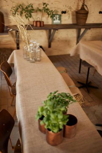 Suvelfabryk Suvelfabryk