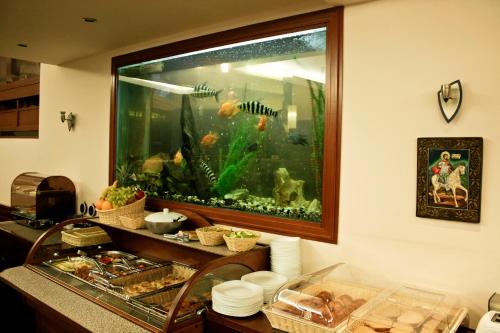 Edi Hotel - image 6