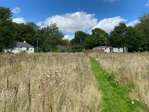 Orchard Cottage - Kent