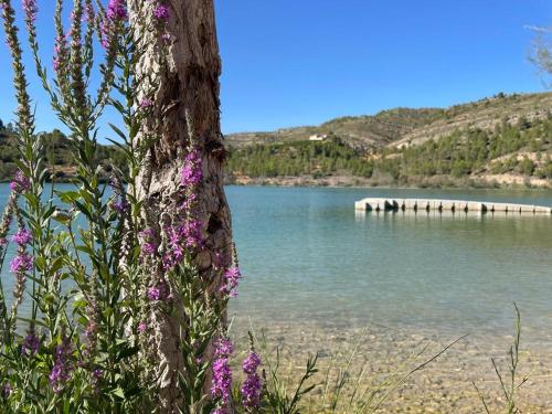 酒店活動, Casa du voyage in 莫亨特