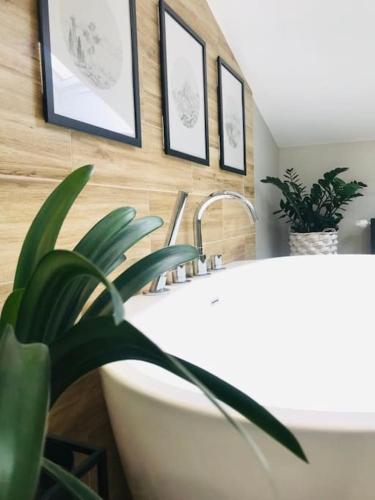 Qwadrat Apartament 15 in Bielsko-Biala city center Qwadrat Apartament 15 in Bielsko-Biala city center