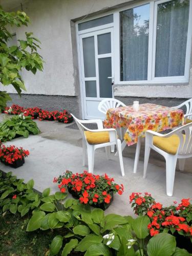 Pavicevic - Location saisonnière - Sokobanja