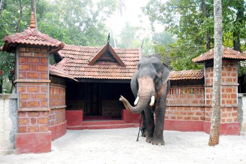 Elephant Courtyard- A Heritage Homestay