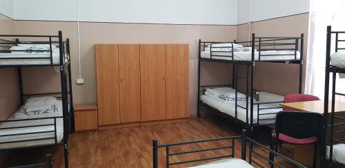 Bunk Bed in Mixed Dormitory Room