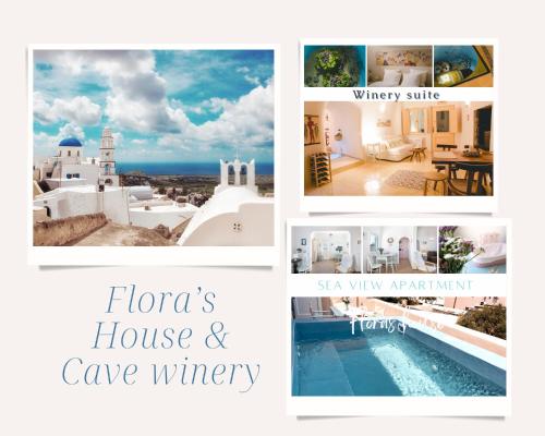  Flora's House & Cave Winery in Pirgos