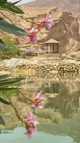 Wadi Bani Khalid - Al Joud Green Hostel in Al Wasil