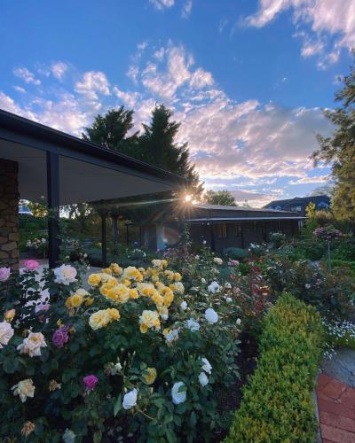 Petit Verdot Cottage - A Vineyard Retreat in Barossa Valley