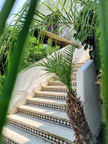 Hotel Borgo Eolie - image 4