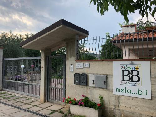  mela__bii in Sulmona