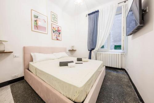 Agostino's Apartment, Janov (fotografie 5)