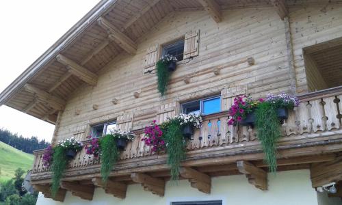 B&B Leogang - Appartement Haus Pichler - Bed and Breakfast Leogang