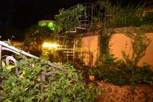 European Guest House - image 5