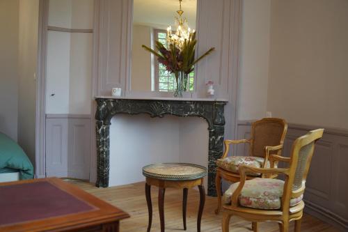 Château Florian XVIII siècle 700 m2, parc 10 hectares (Chateau Florian XVIII siecle 700 m2, parc 10 hectares) in Domvast