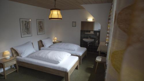 Fährhaus Hotel in Waldshut-Tiengen, Deutschland