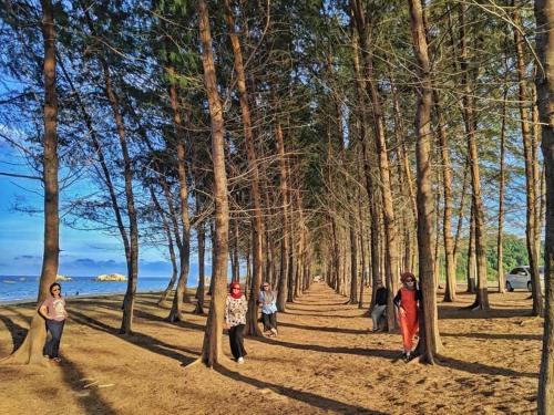 View, Alsia Homestay in Bandar Kijal