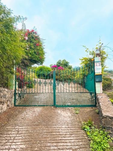 Apartment with Huge Deck Nestled in Marvelous Gardens - Nidos