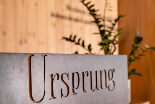 Aparthotel Ursprung in Schladming