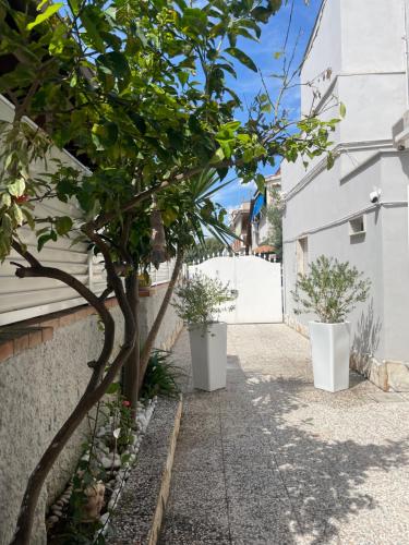 Casa di Roberta in Passoscuro