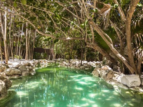 Niken Beachfront Tulum Hotel