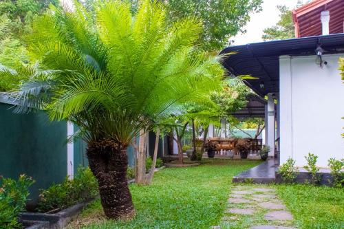 Skats, National Holiday Resort in Mahijanganaja