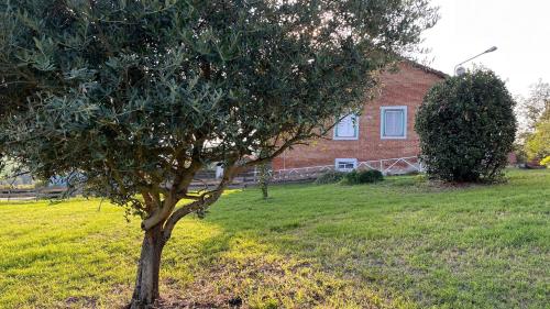  LA CASA SULLA COLLINA in Cocconato