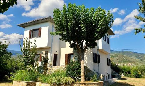 Olive View Cottage in Pelion